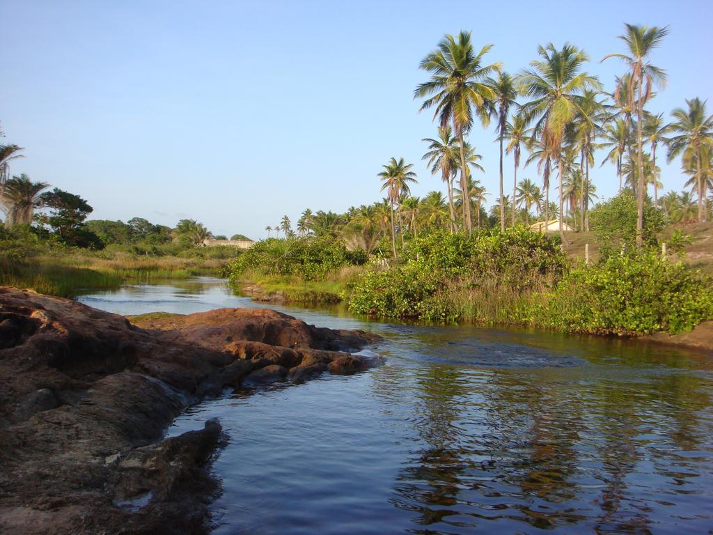 Refugio Do Corsario-Imbassai-Ba Hotel ภายนอก รูปภาพ